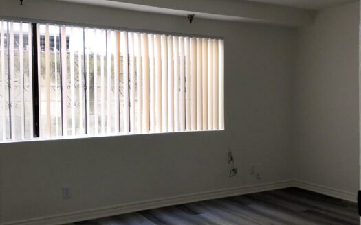 Beautiful 1 Bedroom Apartment in Hollywood