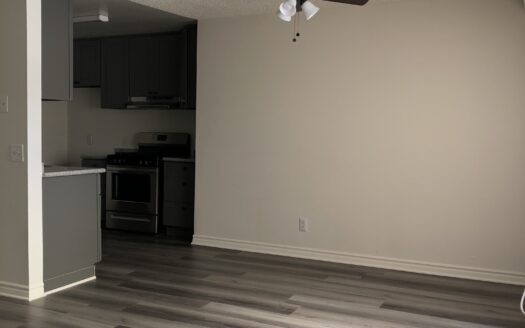 Beautiful 1 Bedroom Apartment in Hollywood