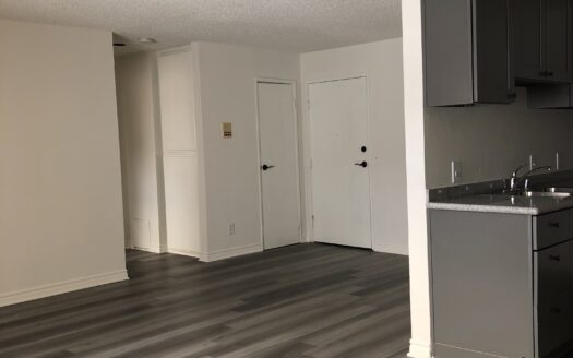 Beautiful 1 Bedroom Apartment in Hollywood