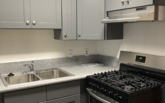 Beautiful Apartment Bordering Koreatown & Silver Lake