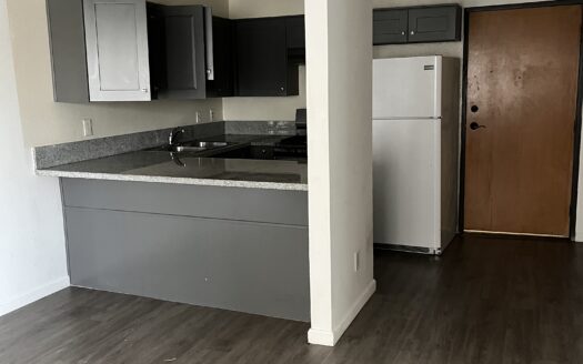 Beautiful Apartment Bordering Koreatown & Silver Lake