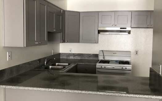 Beautiful Apartment Bordering Koreatown & Silver Lake