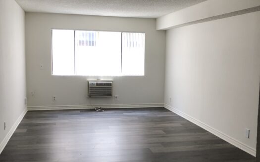 Beautiful Apartment Bordering Koreatown & Silver Lake