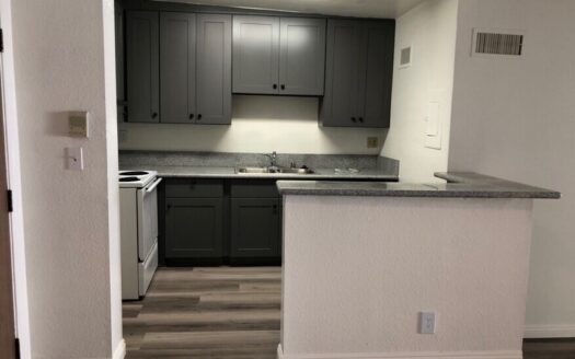 515 S. La Fayette Park Pl.